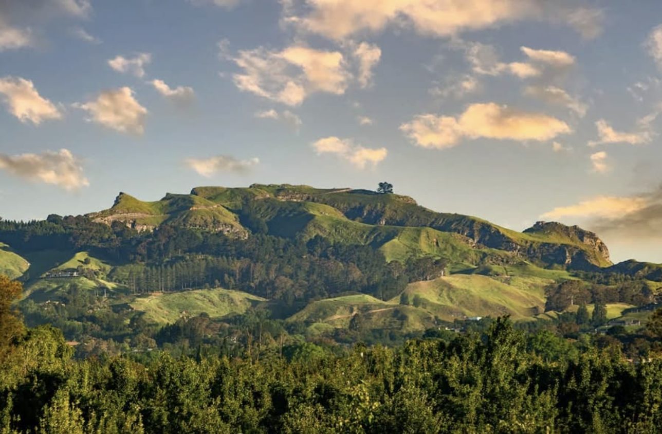 Looking out from the ridgeline of Te Mata Peak across the Heretaunga Plains to the Pacific